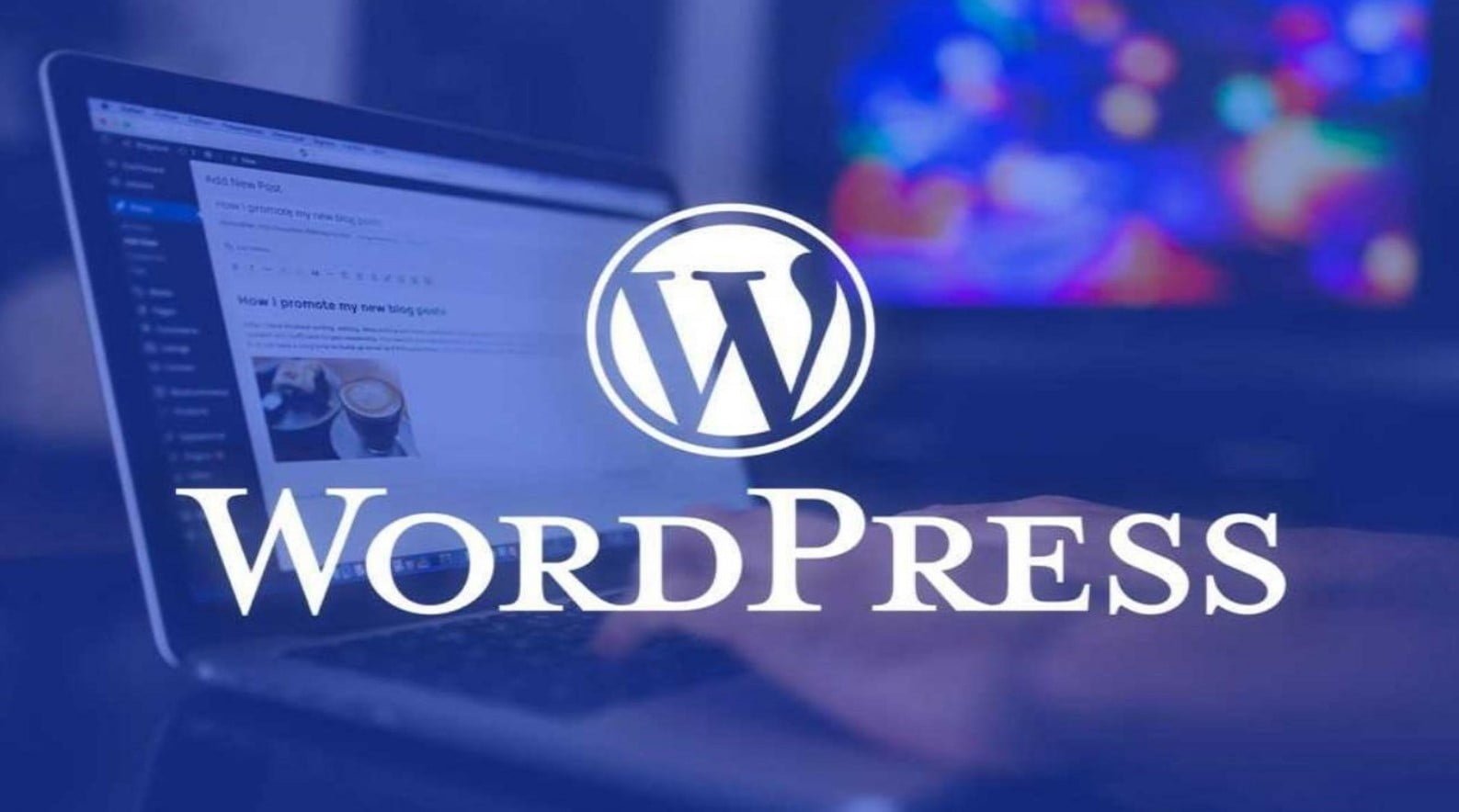 ¿Buscando un experto en WordPress?